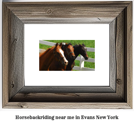 horseback riding near me in Evans, New York